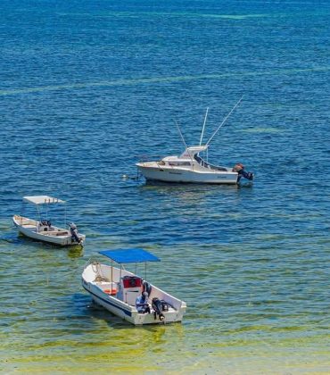 Beach Resort Mombasa: Finding the Right One Actually Matters