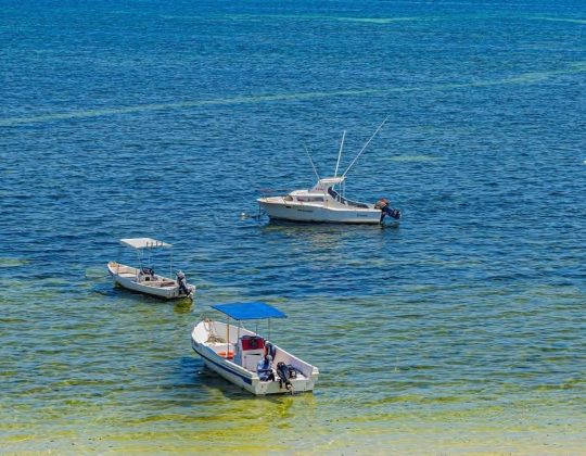 Beach Resort Mombasa: Finding the Right One Actually Matters