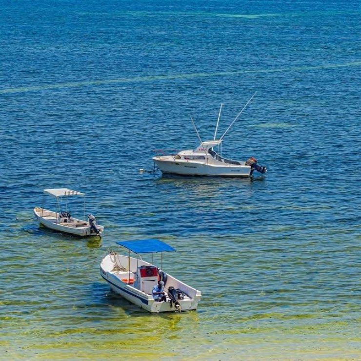 Beach Resort Mombasa: Finding the Right One Actually Matters