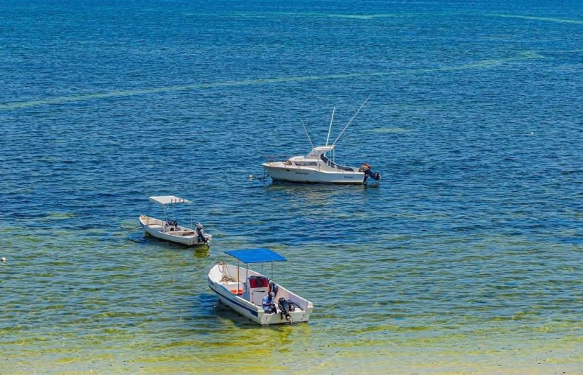 Beach Resort Mombasa: Finding the Right One Actually Matters