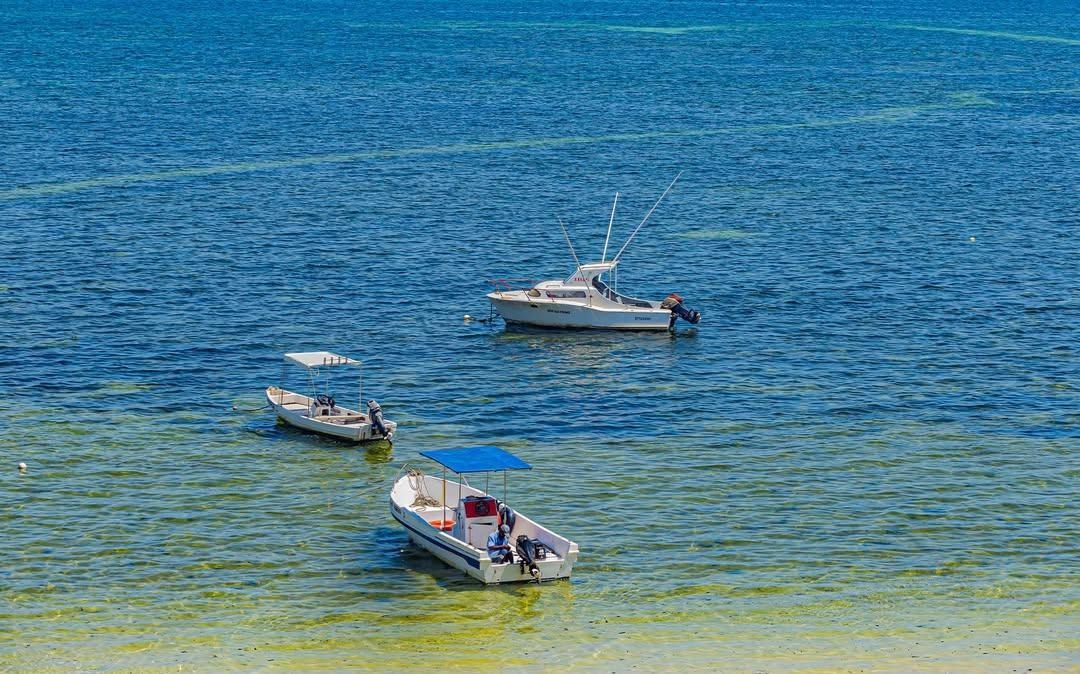 Beach Resort Mombasa: Finding the Right One Actually Matters